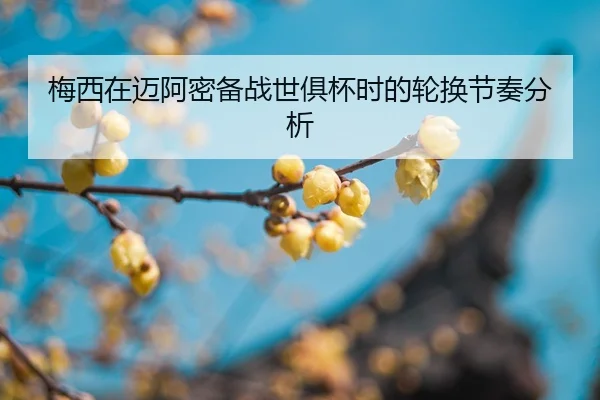 mei-xi-zai-mai-a-mi-bei-zhan-shi-ju-bei-shi-de-lun-huan-jie-zou-fen-xi-2-866.jpg